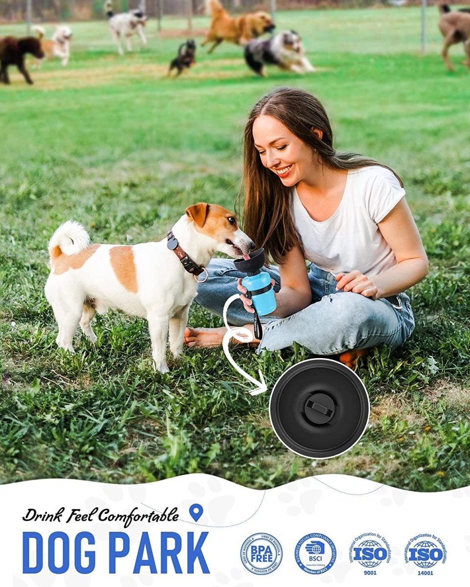 2022 Upgraded Pet Water Bottle - PhishStones Products