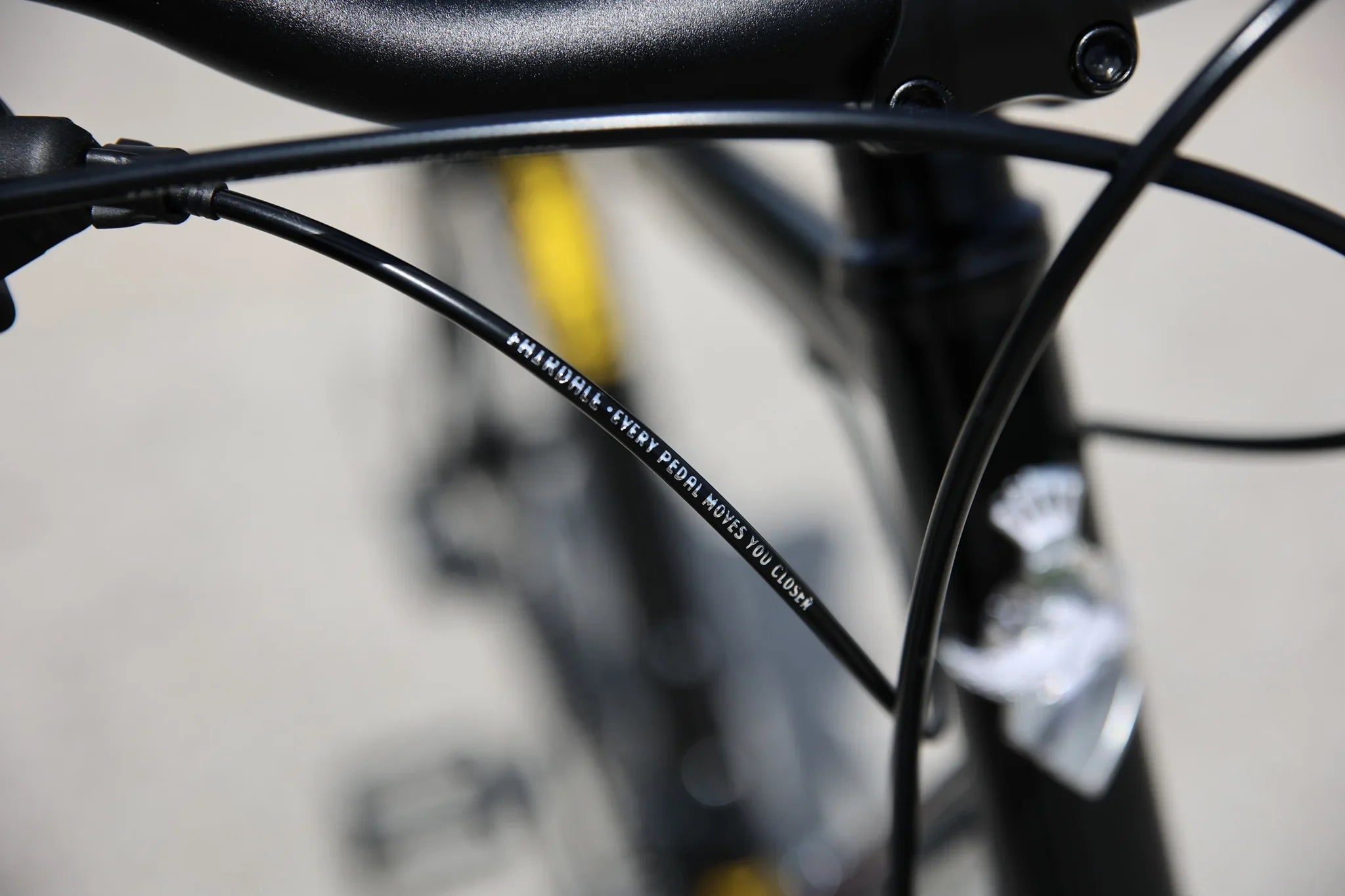 Fairdale Lookfar Complete Cruiser Bike - Gloss Black