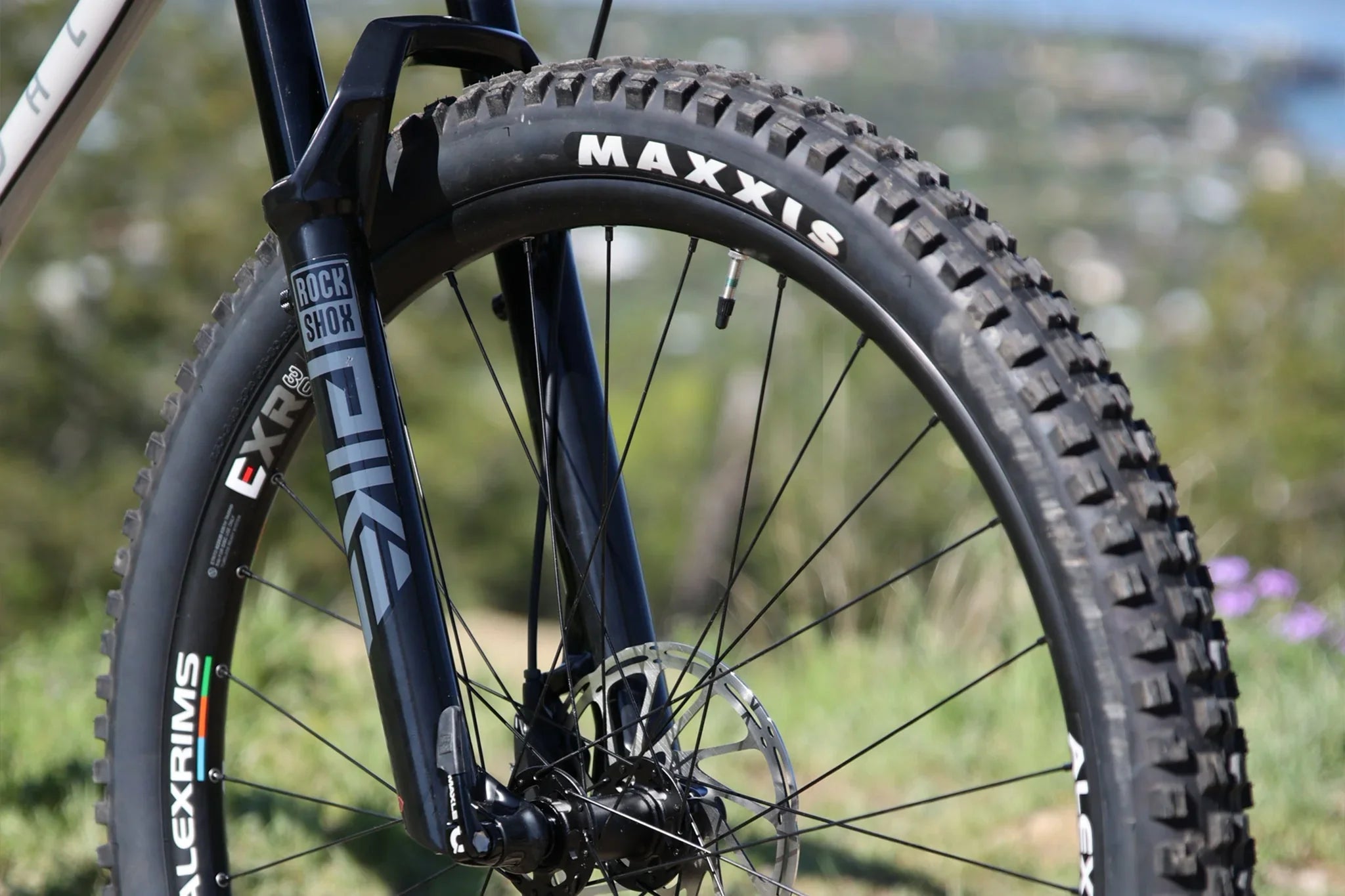 Fairdale Elevator 29″ Hardtail MTB - Gloss Battleship Gray
