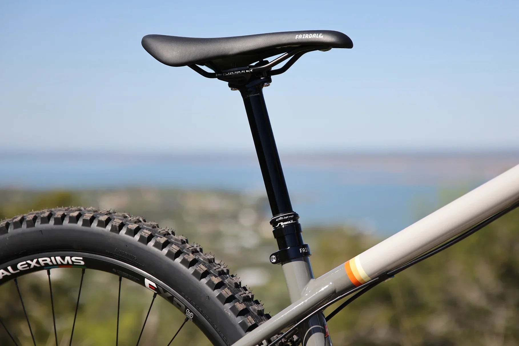 Fairdale Elevator 29″ Hardtail MTB - Gloss Battleship Gray