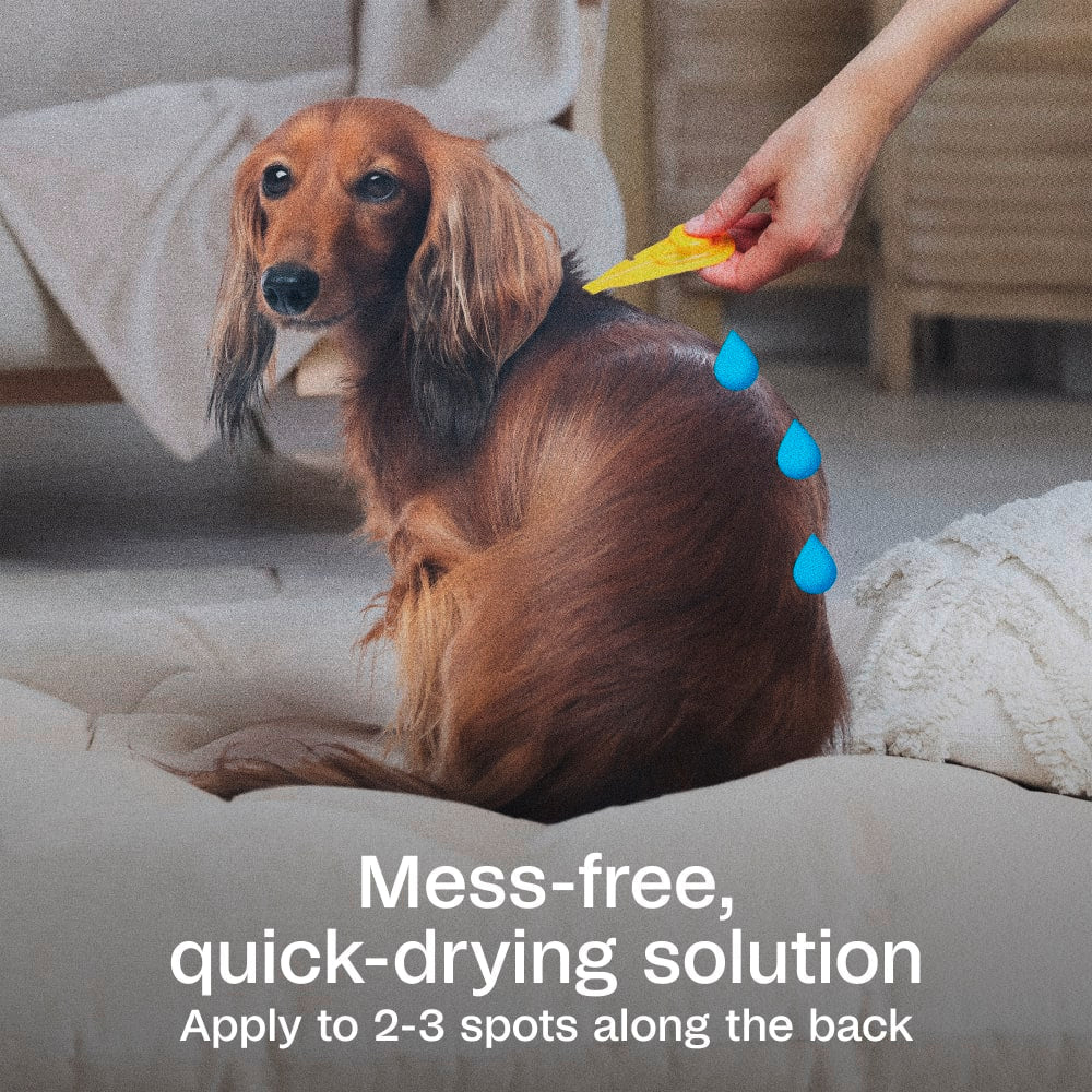Adams Complete Indoor & Outdoor Flea Treatment System for Medium Dogs 15–30 lbs Bundle