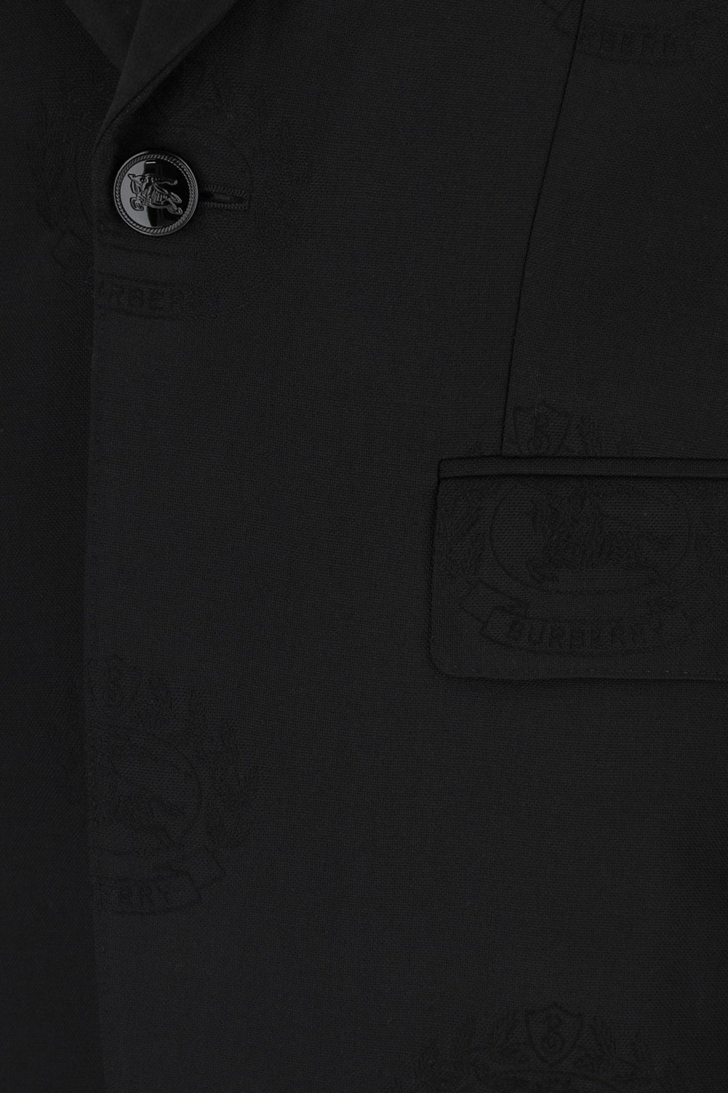 Burberry Men Giacca