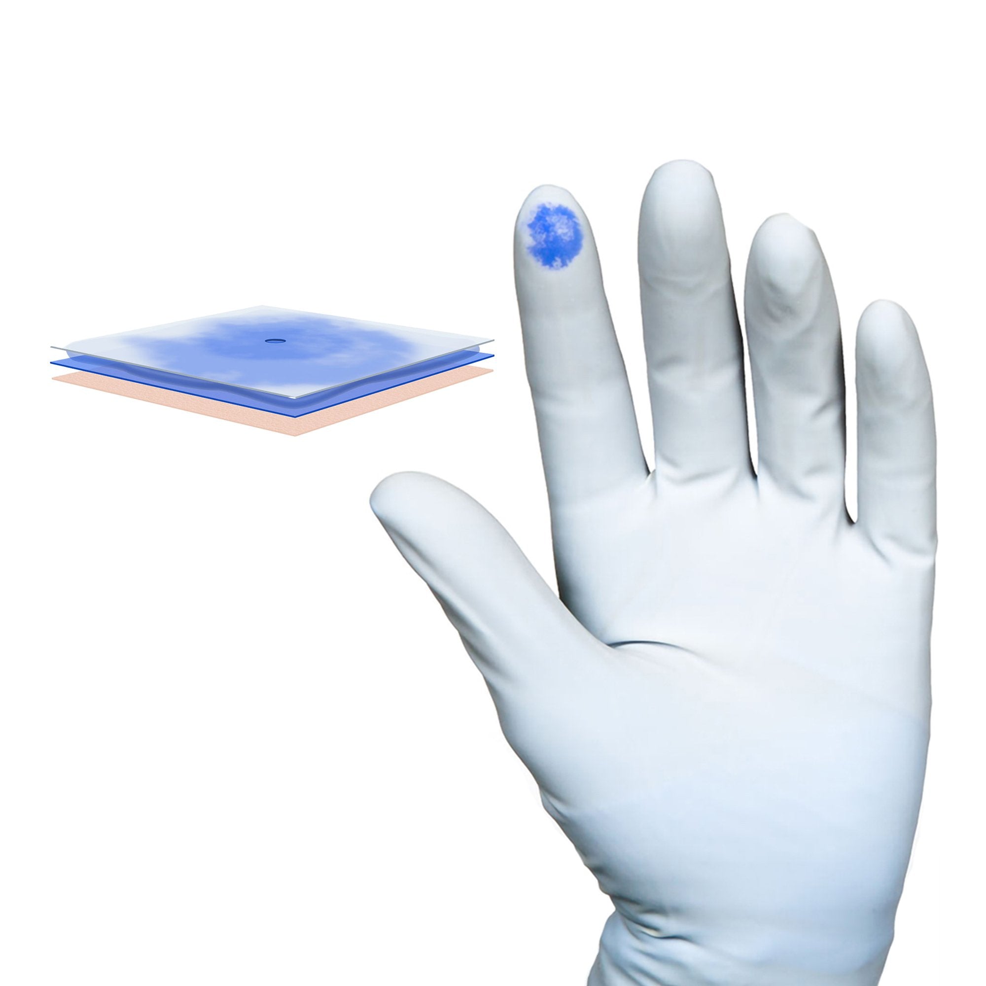 Biogel® PI Indicator Underglove™ Polyisoprene Surgical Underglove, Size 6, Blue 41660