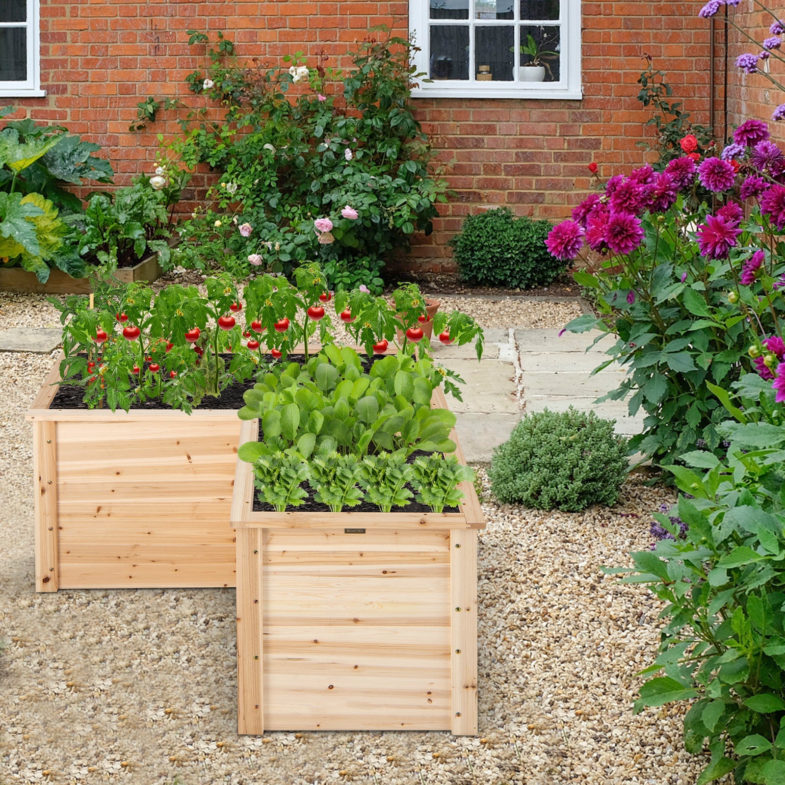 24 Inch L-Shaped Wooden Raised Garden Bed with Open-Ended Base-Natural