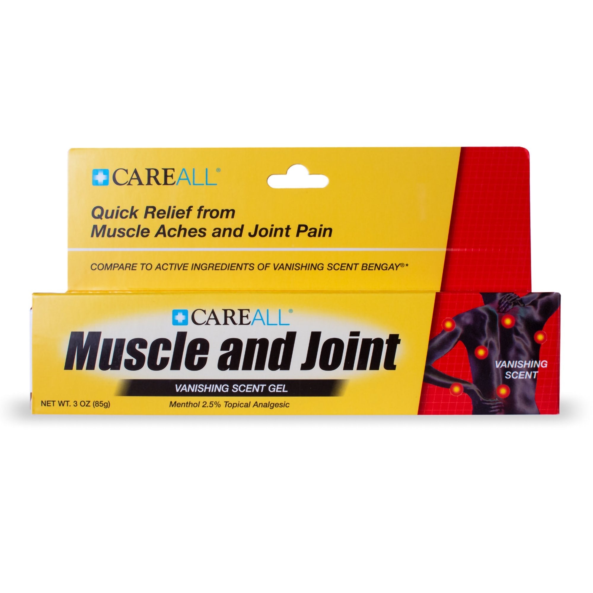 CareAll Menthol Topical Pain Relief, 3-ounce tube MJG3