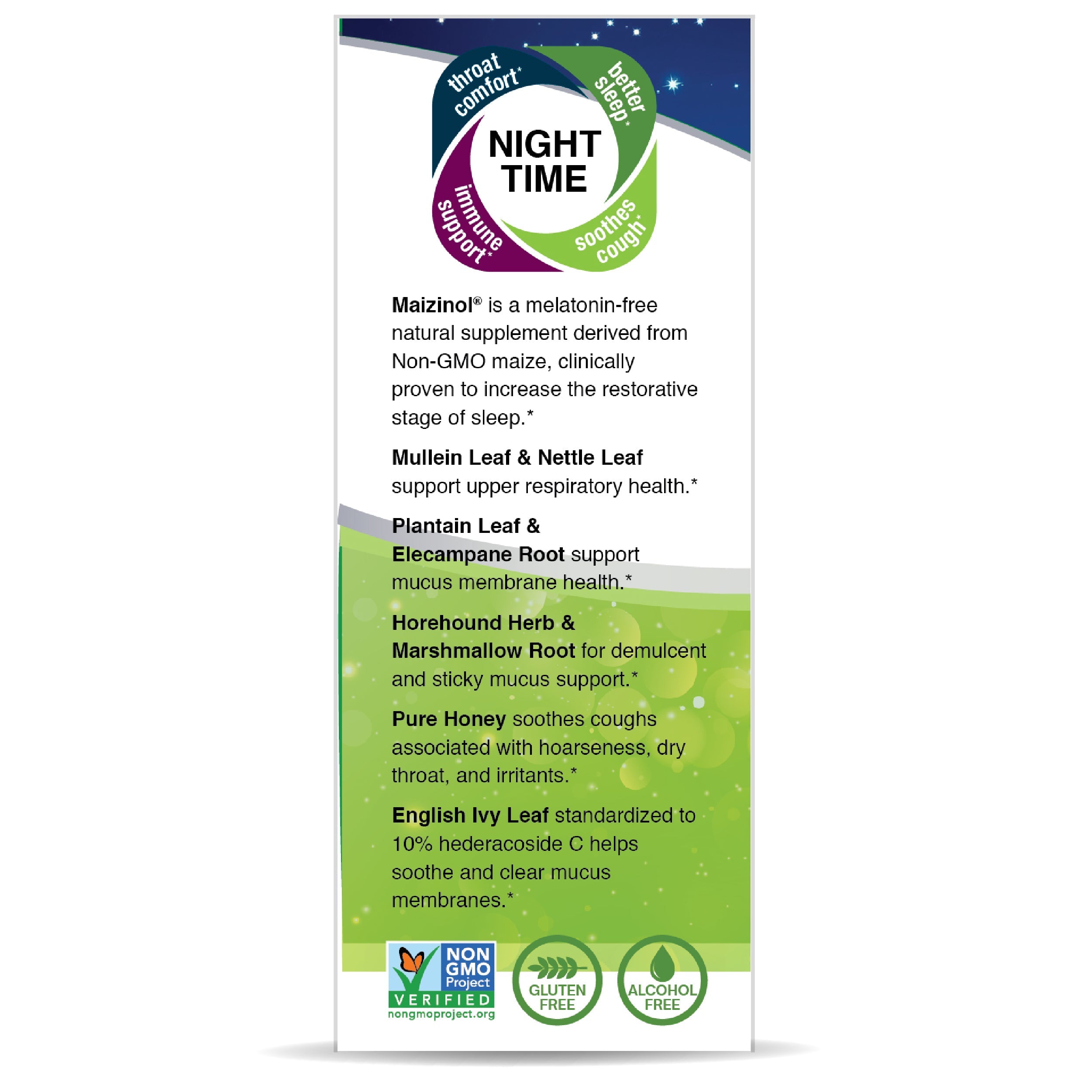Nature's Answer Mullein X PM Nighttime Cough Syrup, 4 fl oz