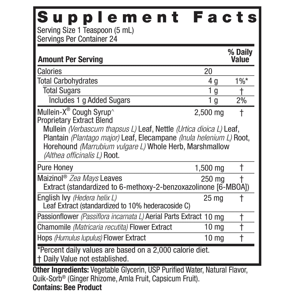 Nature's Answer Mullein X PM Nighttime Cough Syrup, 4 fl oz