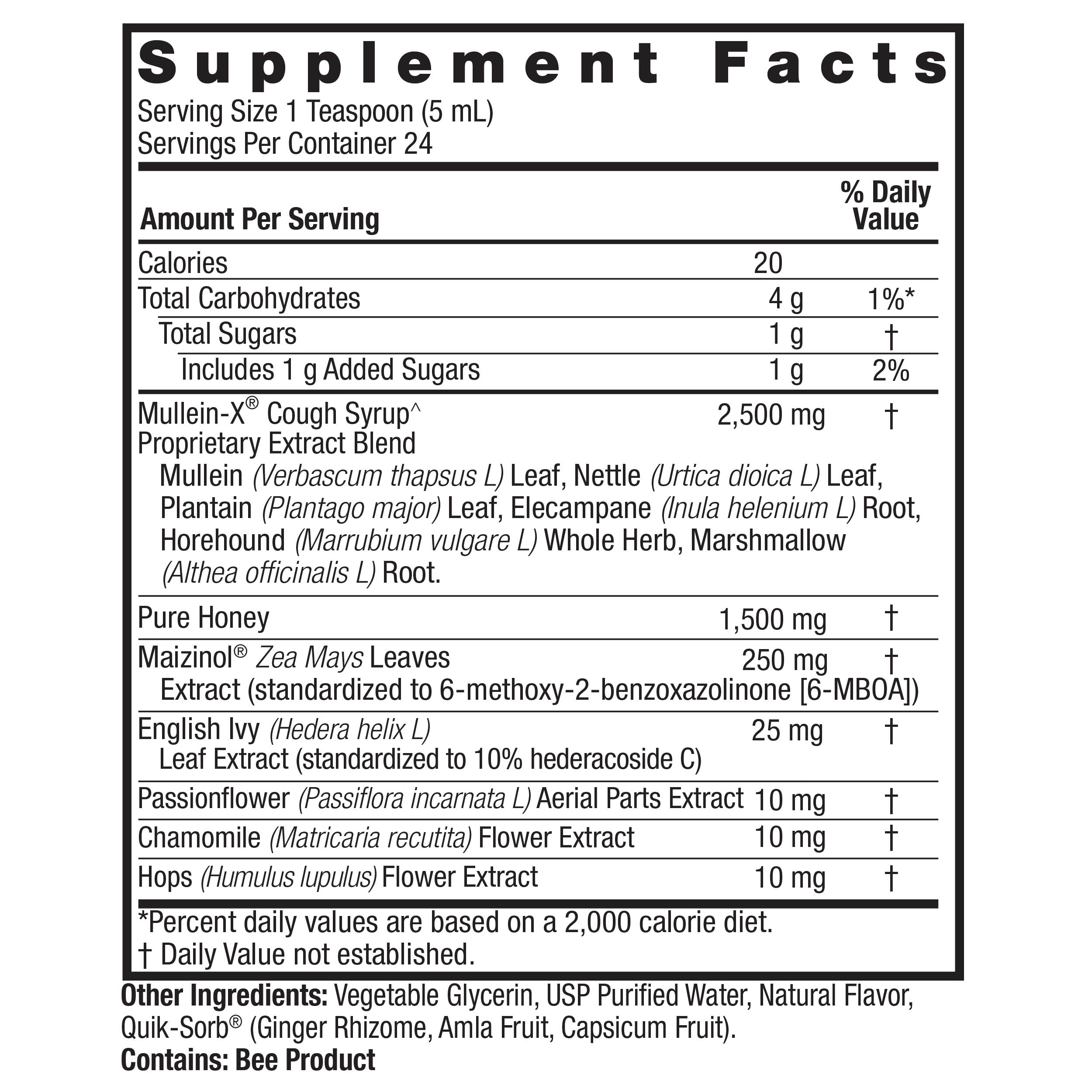 Nature's Answer Mullein X PM Nighttime Cough Syrup, 4 fl oz