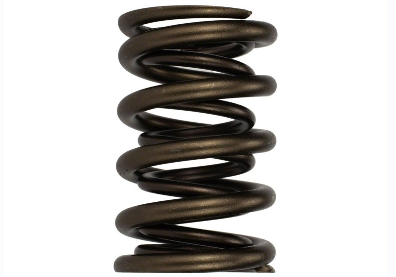 Ford Racing  Replacement Hydraulic Roller Valve Spring - Single (For M-6049-SCJA) M-6513-17341