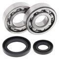 All Balls Racing 86-88 Suzuki RM250 Crank Shaft Bearing Kit 24-1017
