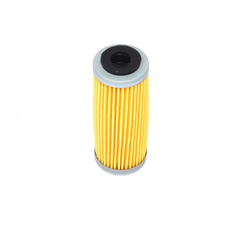 Athena 21-24 GASGAS EC 250 F Oil Filter FFC044