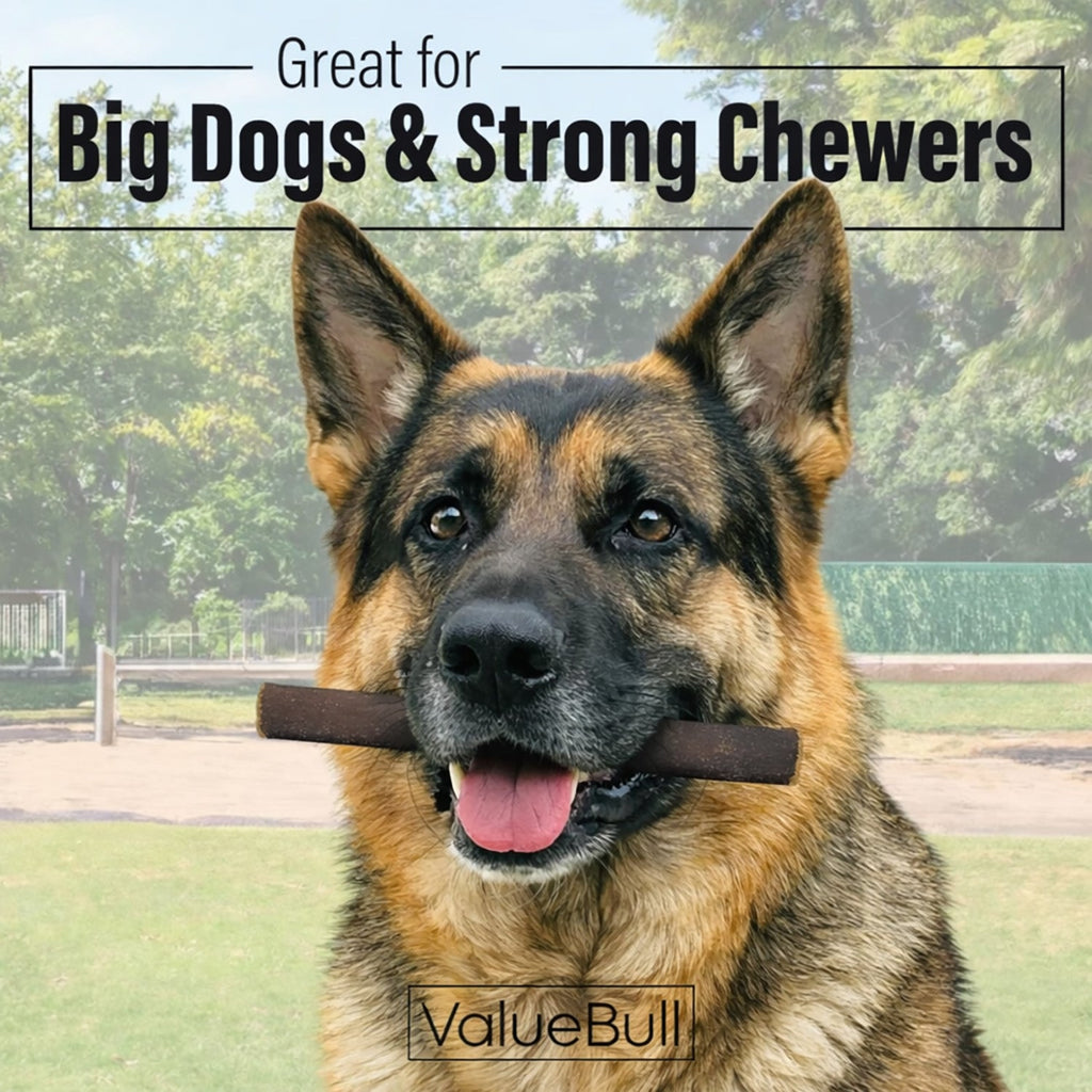ValueBull Buffalo Collagen Sticks for Dogs, 6 Inch Thick Chews, 10 Count