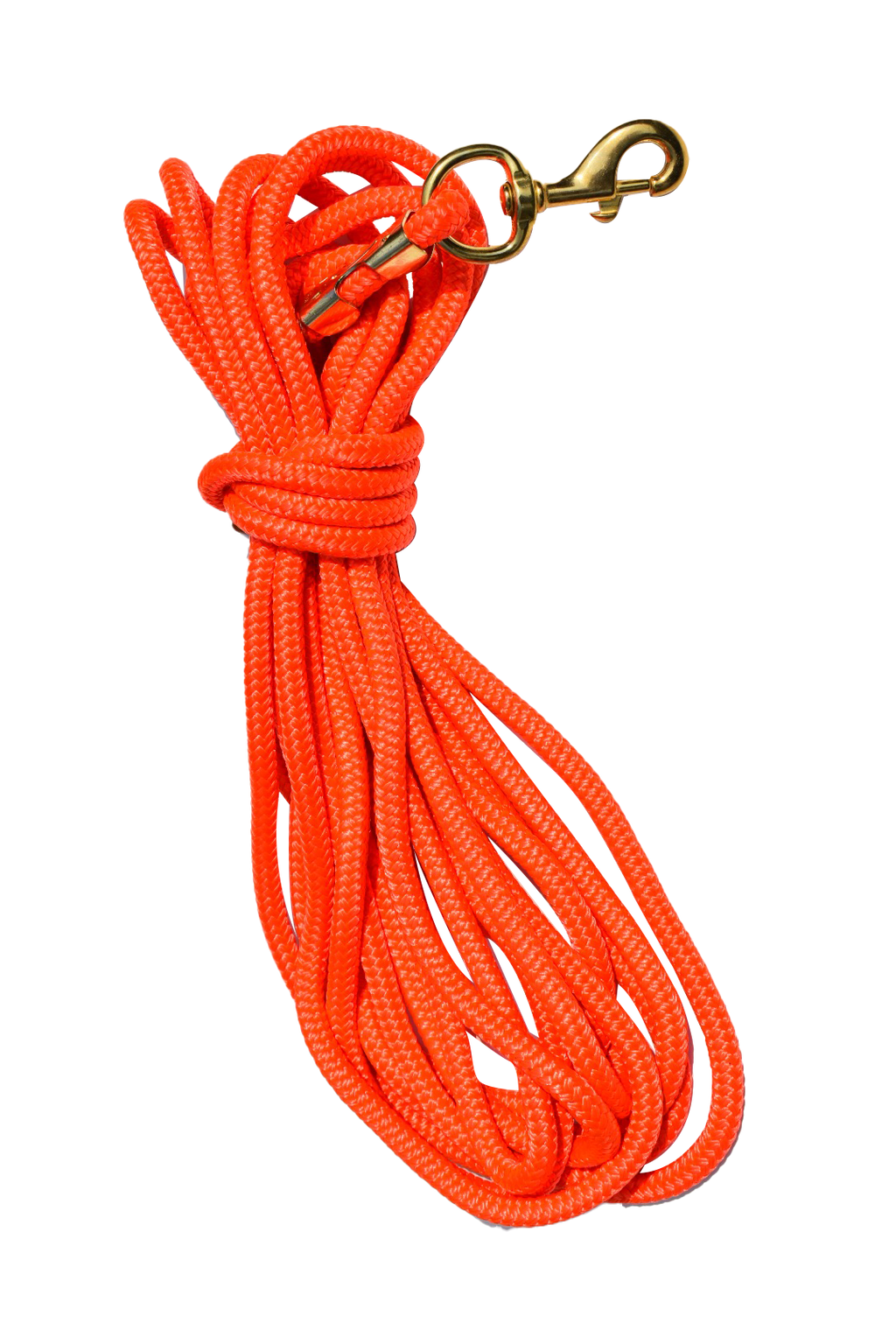 30ft Nylon Dog Training Check Cord Rope
