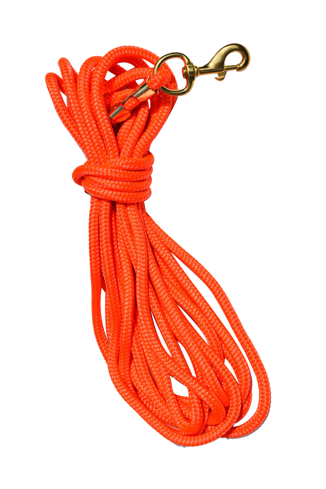 30ft Nylon Dog Training Check Cord Rope
