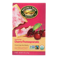 Nature's Path Organic Frosted Toaster Pastries: Satisfy Your Sweet Cravings with Cherry Pomegranate Flavor (Pack of 12)