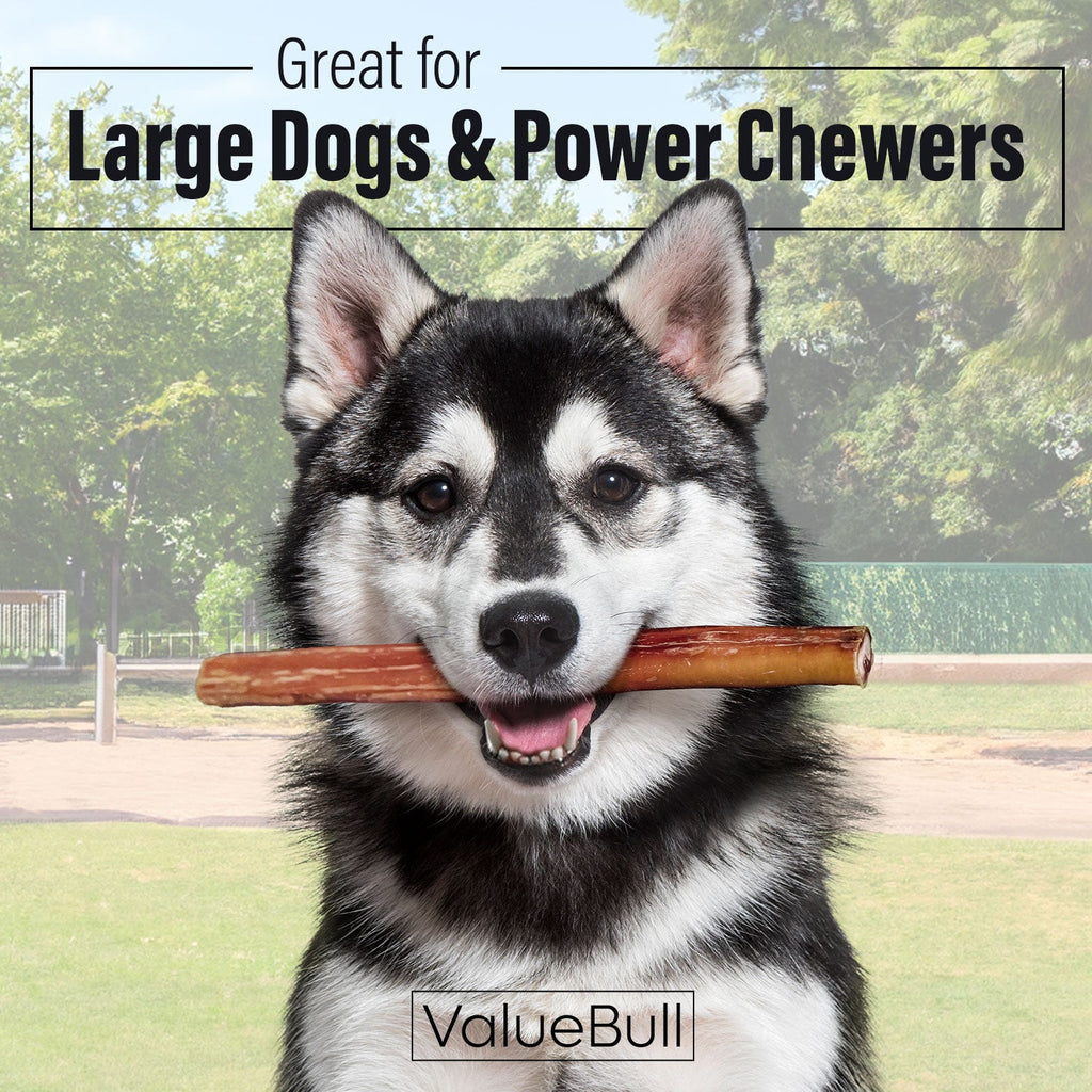 ValueBull Bully Sticks for Large Dogs, Jumbo 12 Inch, 50 Count
