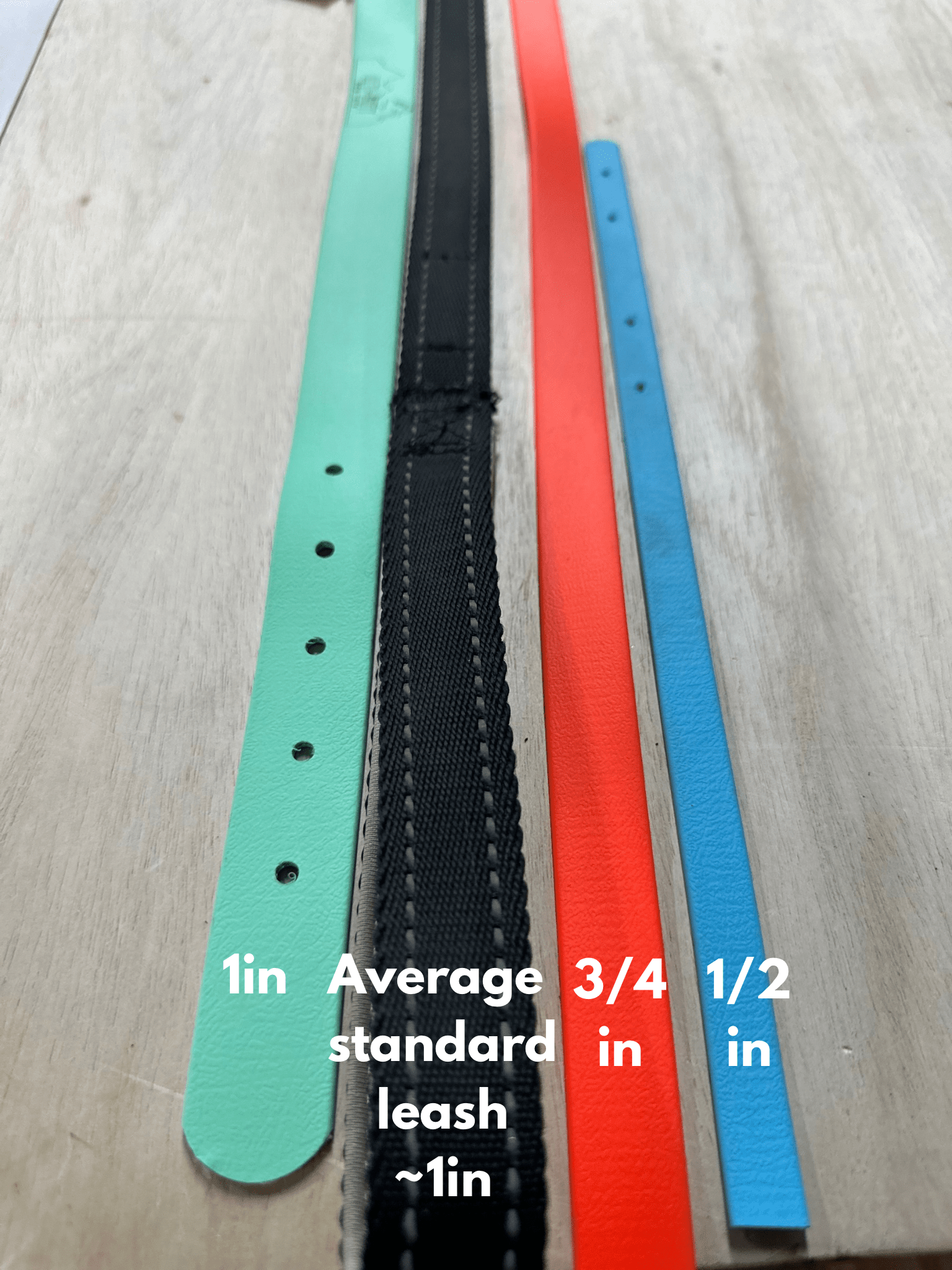 3/4" 33ft Biothane Long Line *