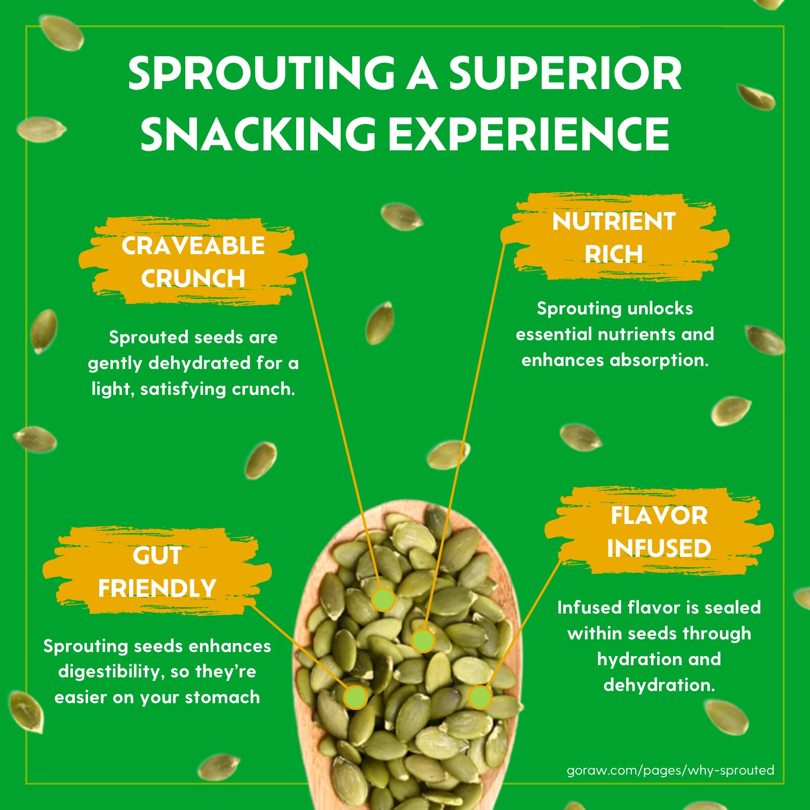 Go Raw Organic Dry Roasted Pumpkin Seeds, Case of 6, 9 Ounce