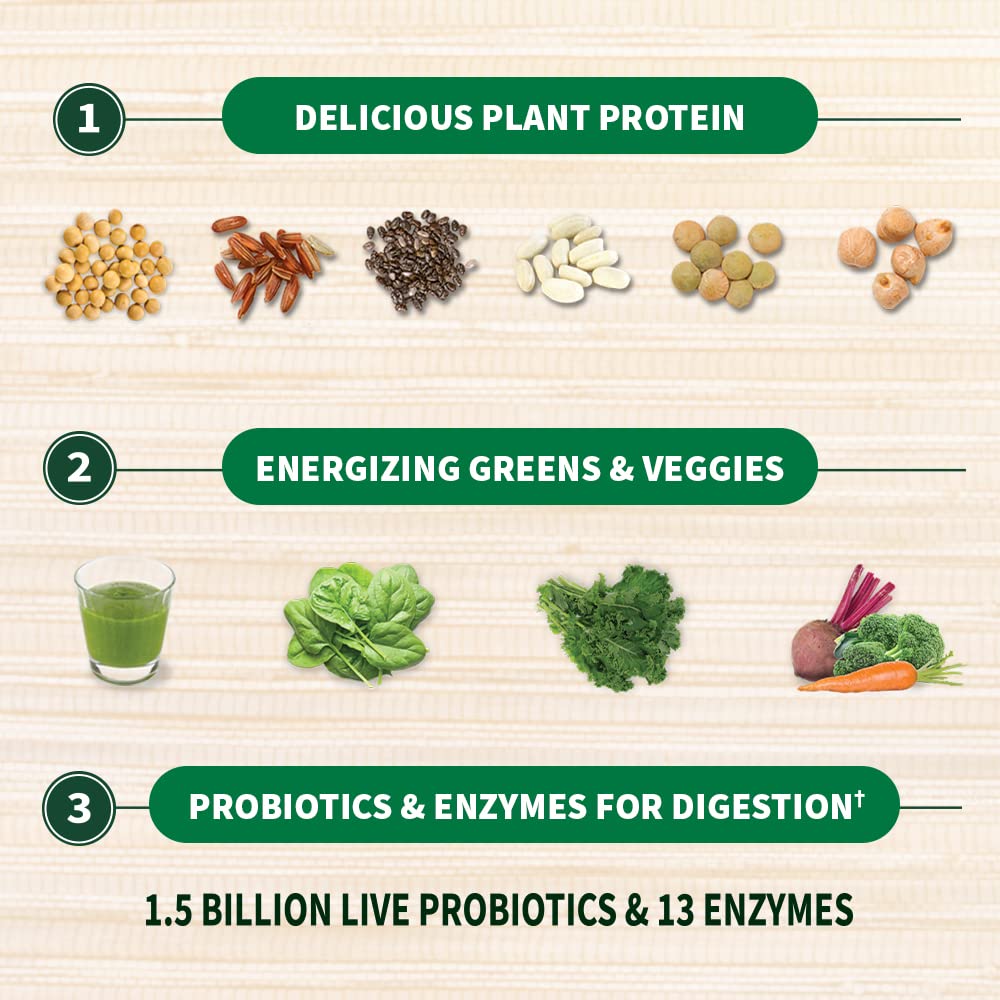 Garden of Life Raw Organic Protein and Greens Chocolate, 21.51 oz