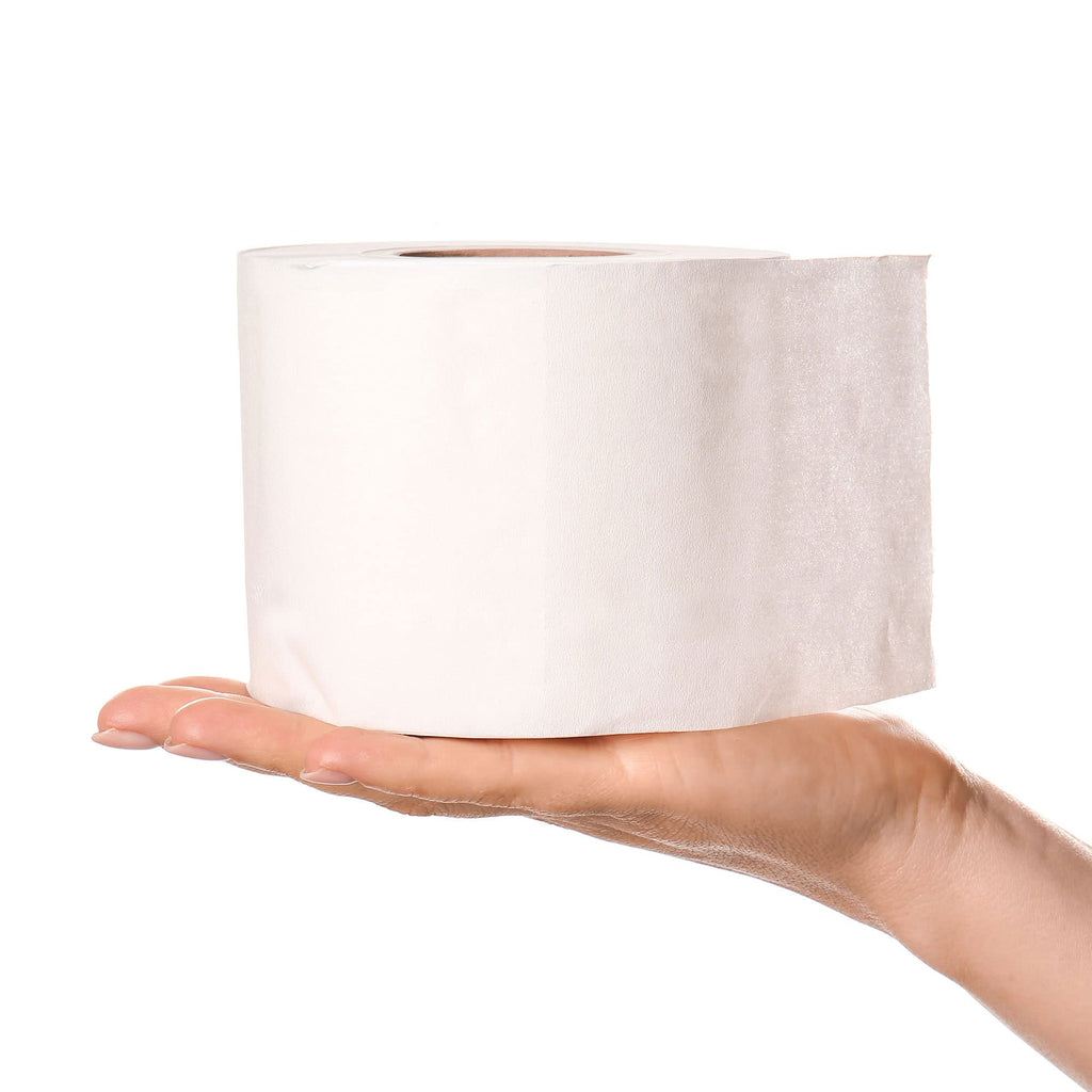 Natural Value Single Roll Bath Tissue, 500 Sheets, Case of 45