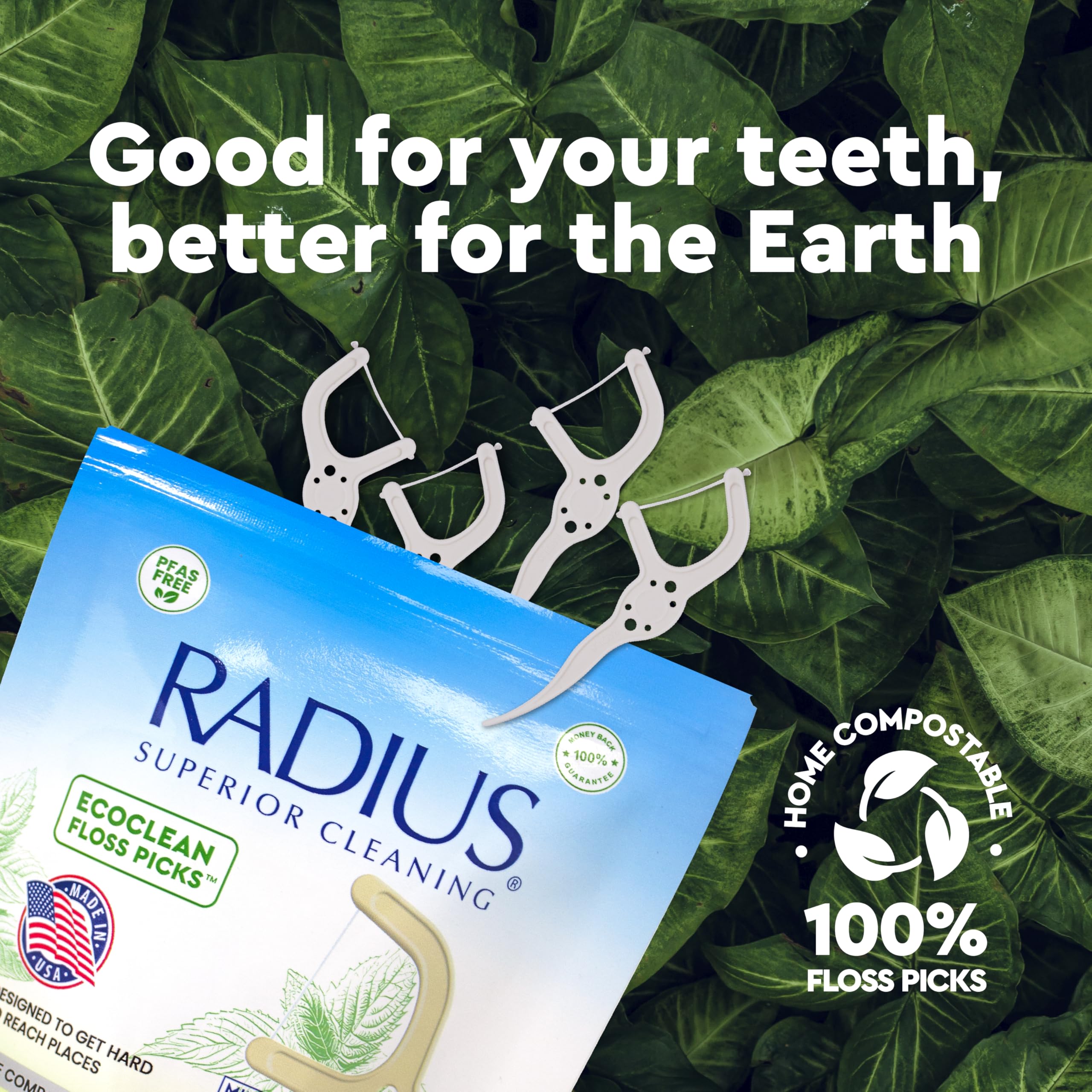 RADIUS EcoClean Minty Peppermint Adult Floss Picks, 50 Count