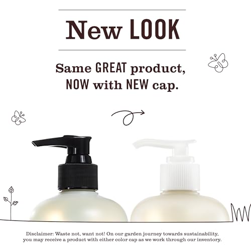 Mrs. Meyer's Clean Day Fall Leaves Liquid Hand Soap, Case of 6, 12.5 Fluid Ounce Bottles