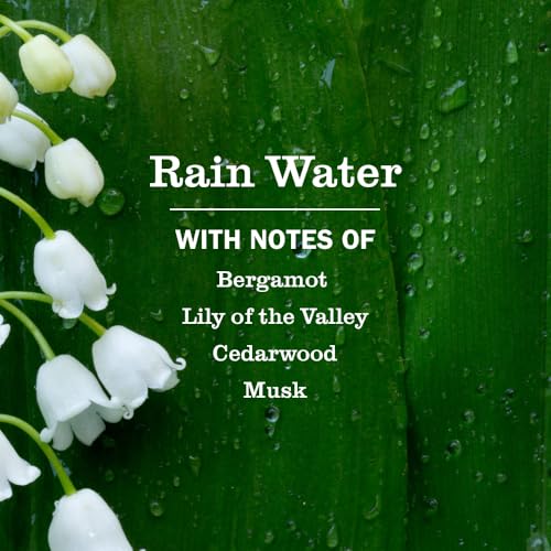 Mrs. Meyer's Clean Day Rain Water Scented Soy Candle, Case of 6, 7.2 Ounce Jars