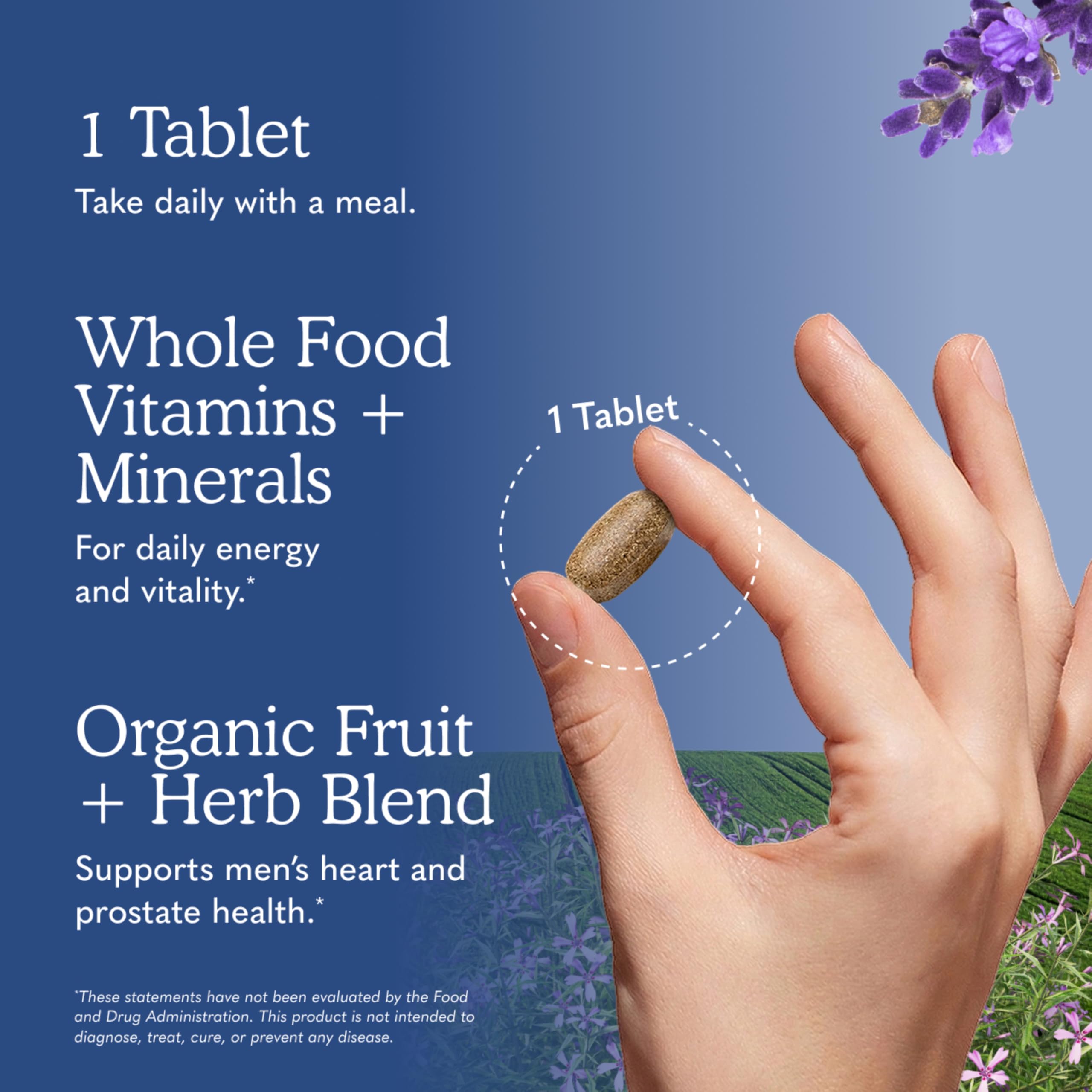 Garden of Life mykind Organics Men's Once Daily Multivitamin, 60 Vegan Tablets