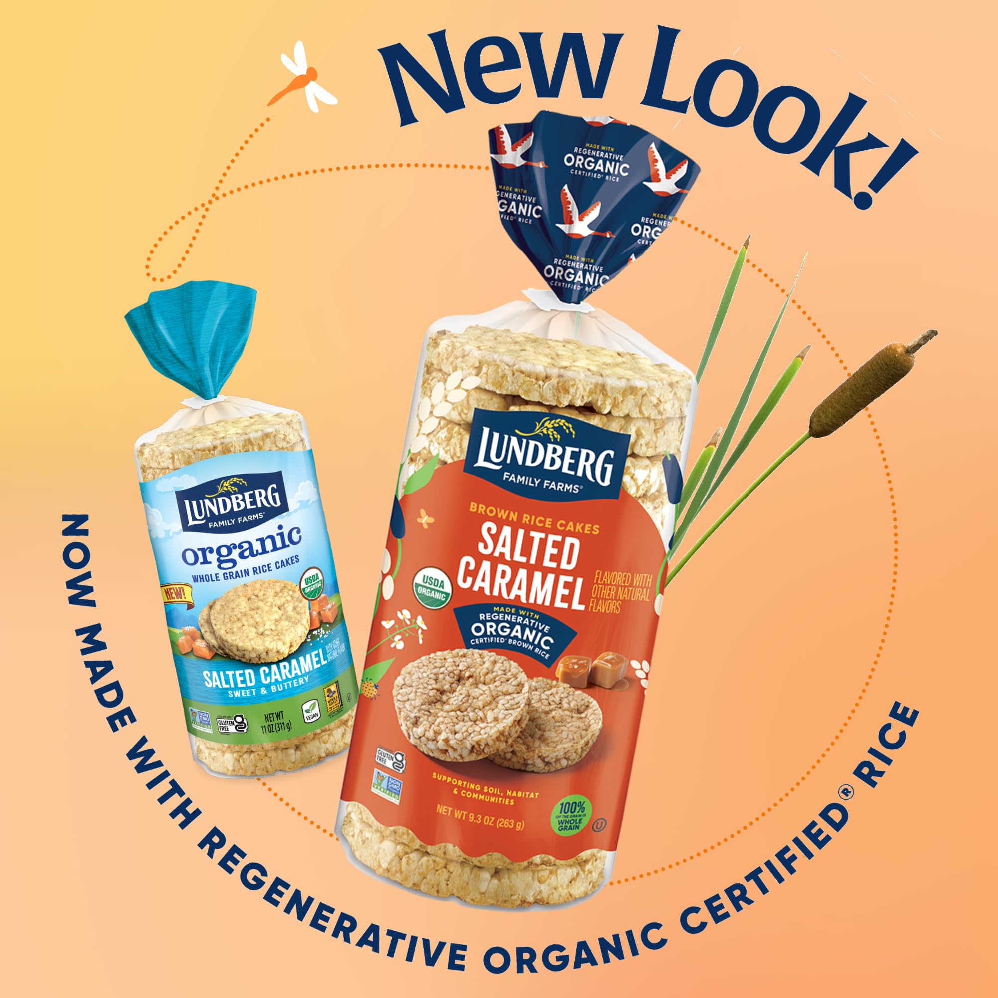 Lundberg Family Farms Organic Salted Caramel Rice Cakes, Case of 6, 9.3 Ounces Each