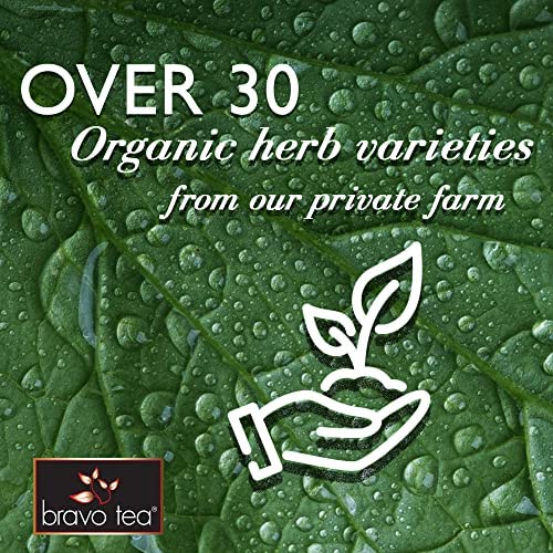 Bravo Tea Cordyceps Tea, 20 Bags