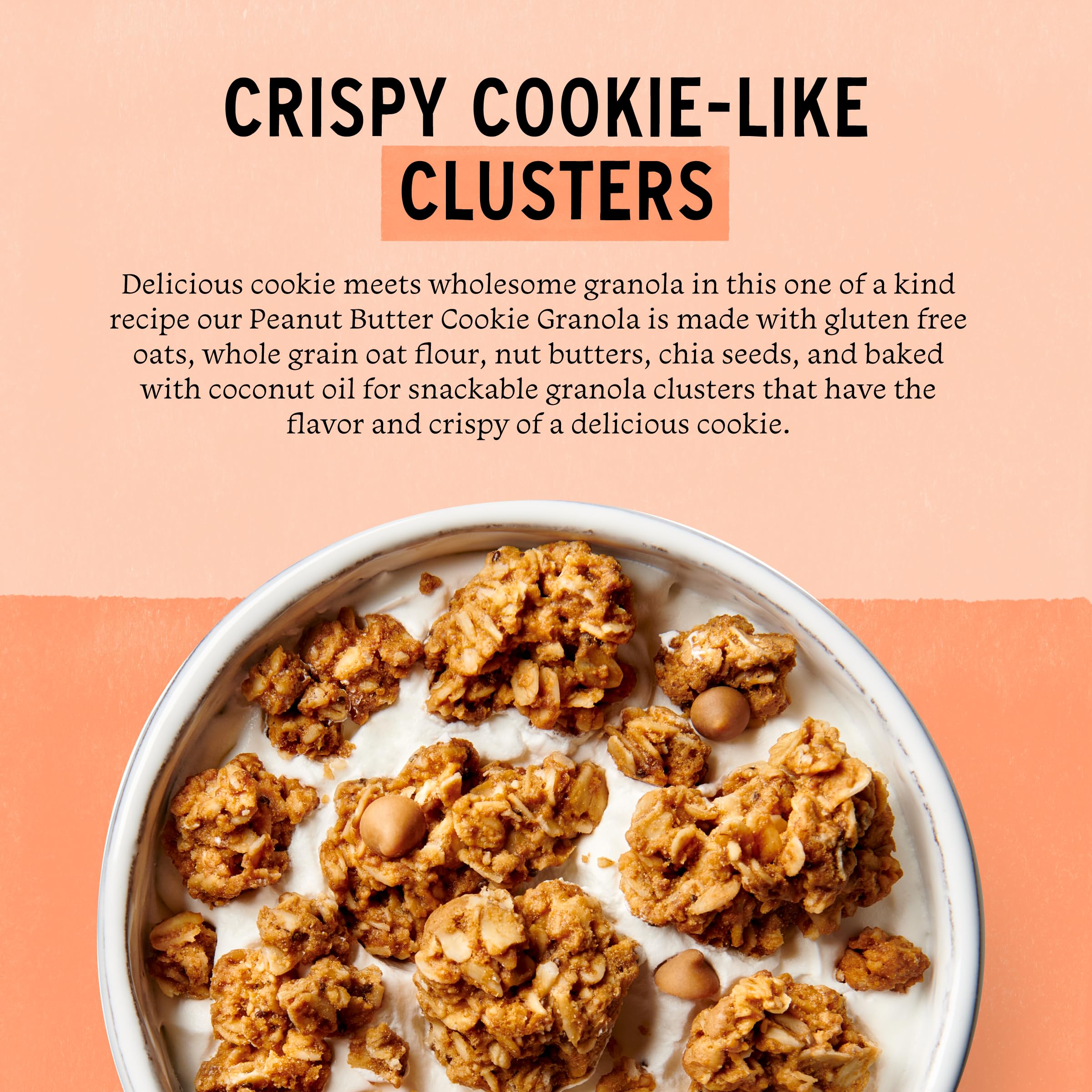 Purely Elizabeth Peanut Butter Cookie Granola, Case of 6, 11 Ounce Bags