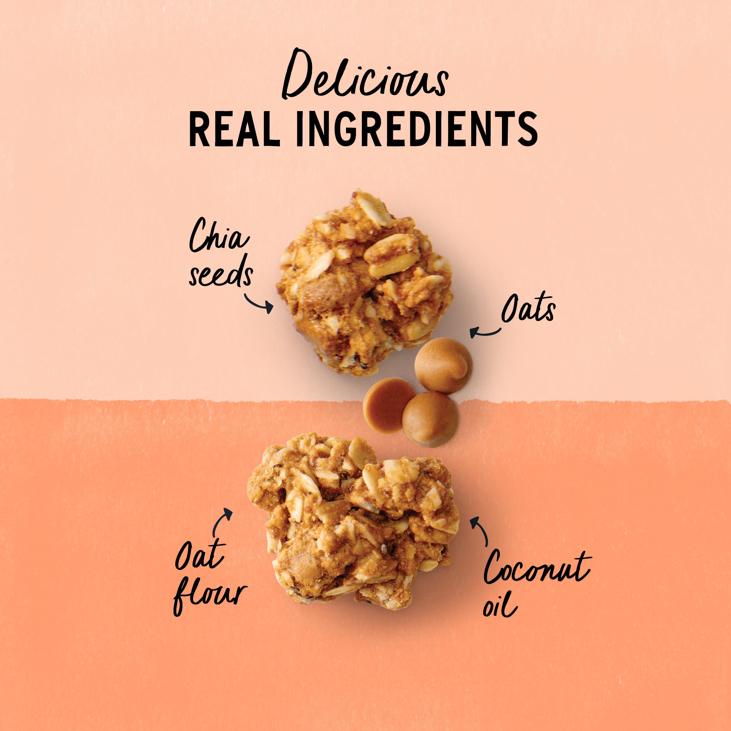 Purely Elizabeth Peanut Butter Cookie Granola, Case of 6, 11 Ounce Bags