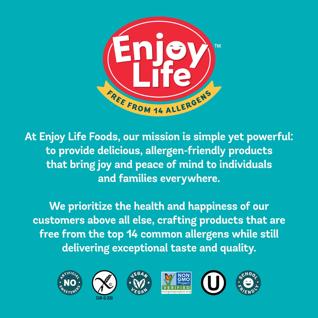 Enjoy Life Semi-Sweet Mega Chocolate Chunks, Case of 12, 9 Ounce Bags