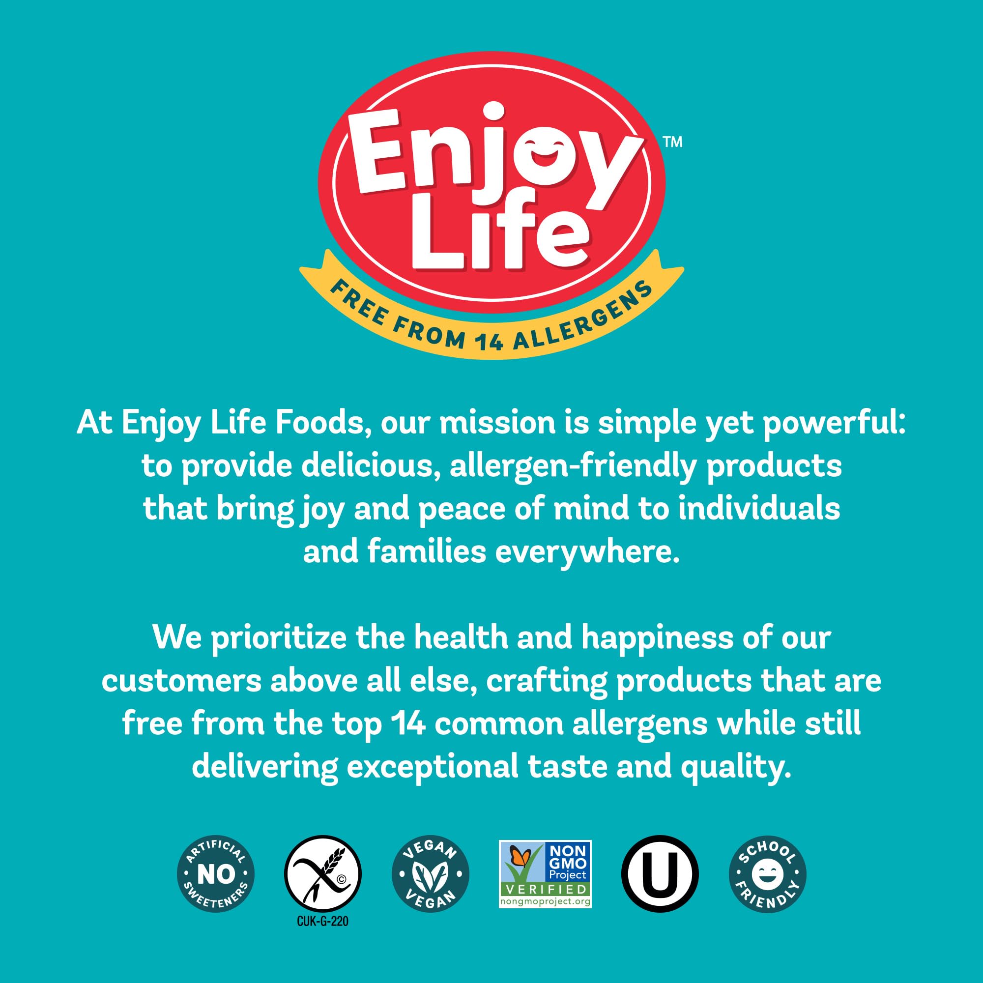 Enjoy Life Semi-Sweet Mega Chocolate Chunks, Case of 12, 9 Ounce Bags