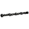 COMP Cams Camshaft OL XR262HR-10 42-413-9