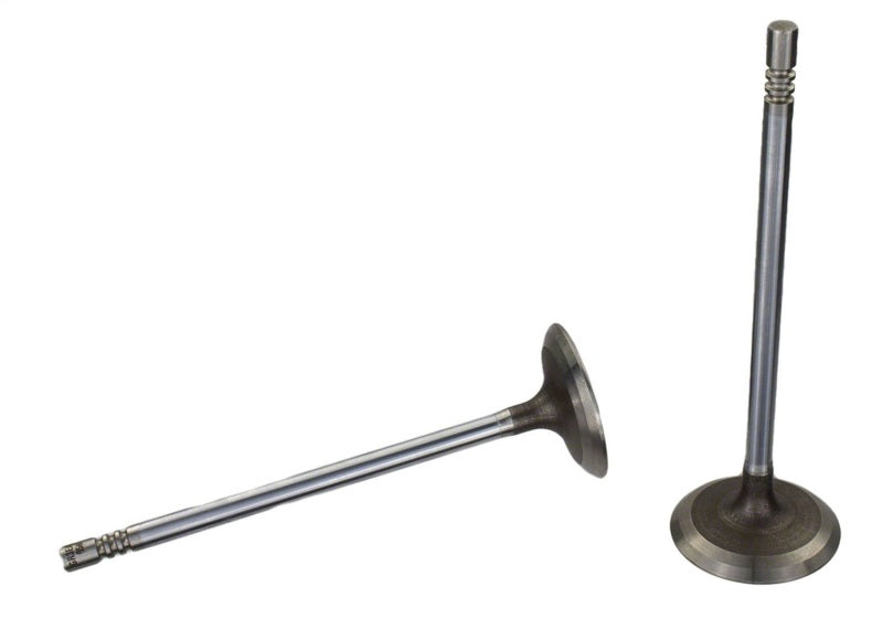 Ford Racing Coyote 5.2L Lightweight Intake Valve - Set of 8 M-6507-M52