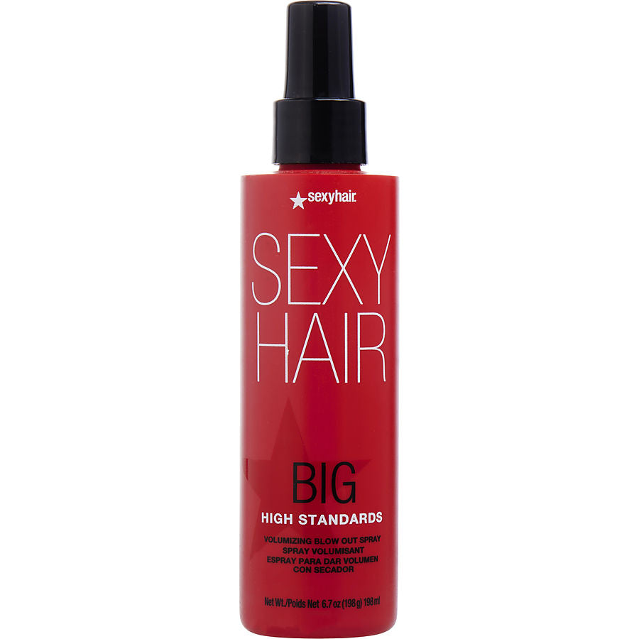 Big High Standards Volumizing Blow Out Spray 6.8 Oz