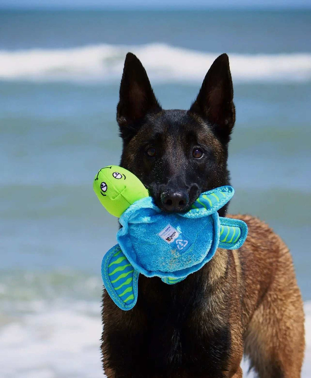 🌍 Clean Earth Plush Toys – Eco‑Friendly Dog Toys Made from Recycled Plastic