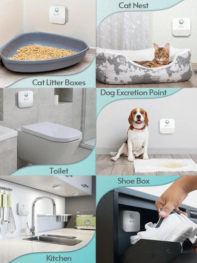 4000mAh Smart Cat Litter Odor Eliminator — USB Rechargeable Pet Air Purifier & Deodorizer for Litter Boxes, Crates and Small Spaces - PhishStones Products