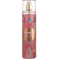 Aeropostale Wild Orchid By Aeropostale Body Mist 8 Oz