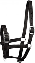 HORZE Adjustable Nylon Horse Halter for Foals, Colts, Fillies, Mini Horse Halter | Comfortable Small Horse Halter with Sturdy Buckles - Black - Foal
