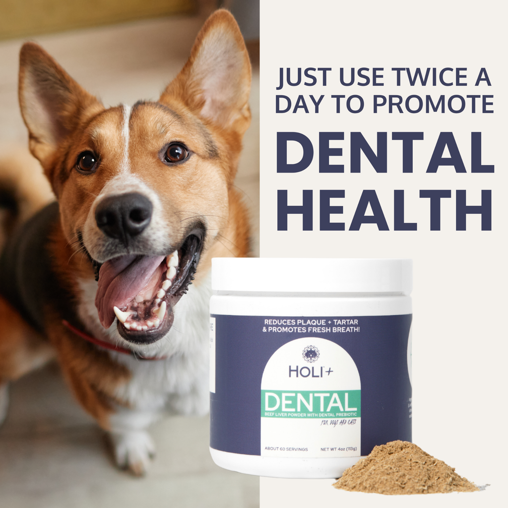 Dental Health Topper for Dogs – with Protektin44™ Prebiotics