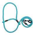Sheep Halter with Snap Lead - Teal (Blue Tide)