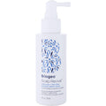 Scalp Revival Charcoal + Tea Tree Buildup Detox Spray 4 Oz