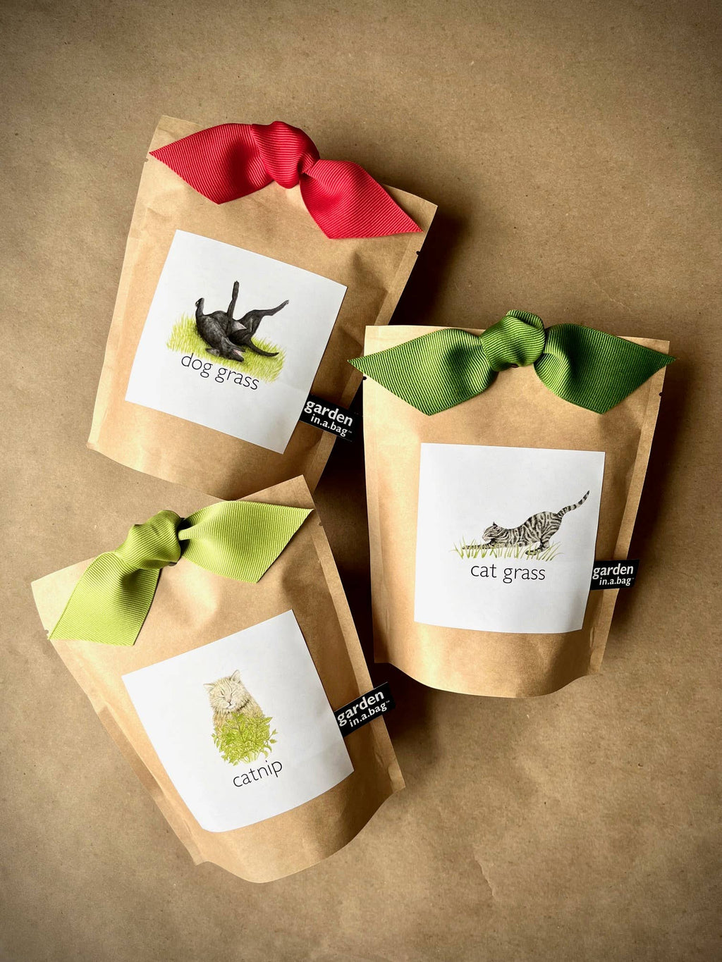 🐱🌱Garden in a Bag | Catnip | Spring Pet Treat Gift