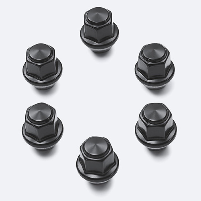 Ford Racing M12 x 1.5 Black Lug Nut - Set of 6 M-1012-BR