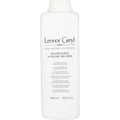Shampooing Sublime Meches (specific Shampoo For Highlighted Hair) 33.8 Oz