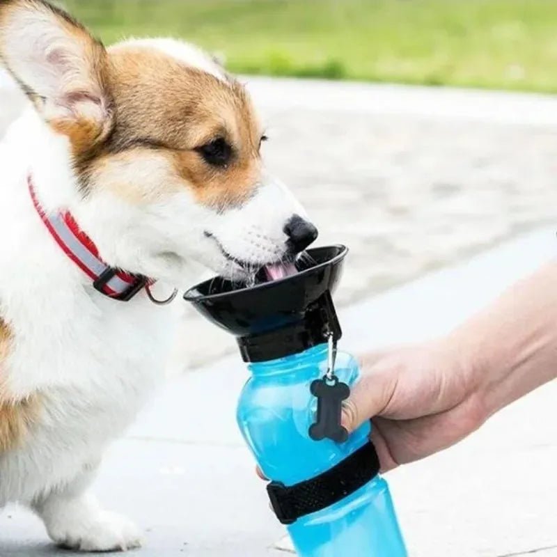 500ml Outdoor Portable Pet Water Bottle – Leakproof Dog & Cat Travel Cup with Drinking Bowl Feeder - PhishStones Products