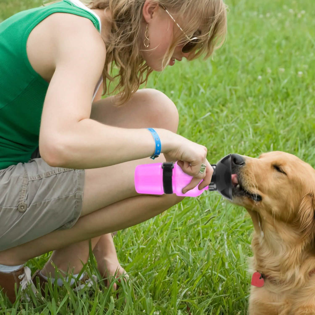 500ml Pet Water Bottle Portable Water Cup - PhishStones Products