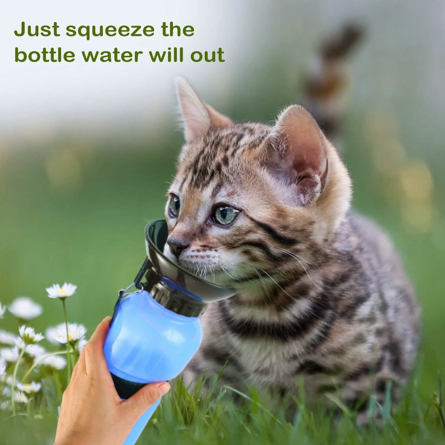500ml Pet Water Bottle Portable Water Cup - PhishStones Products